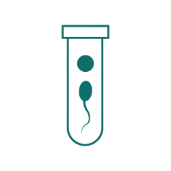 tube