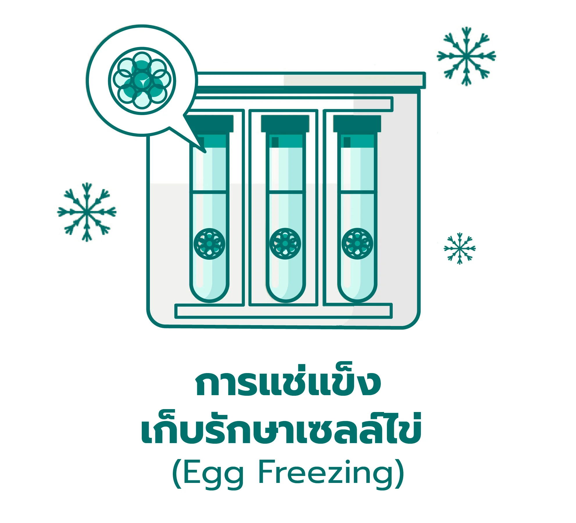 ภาพ giftfertility1-55