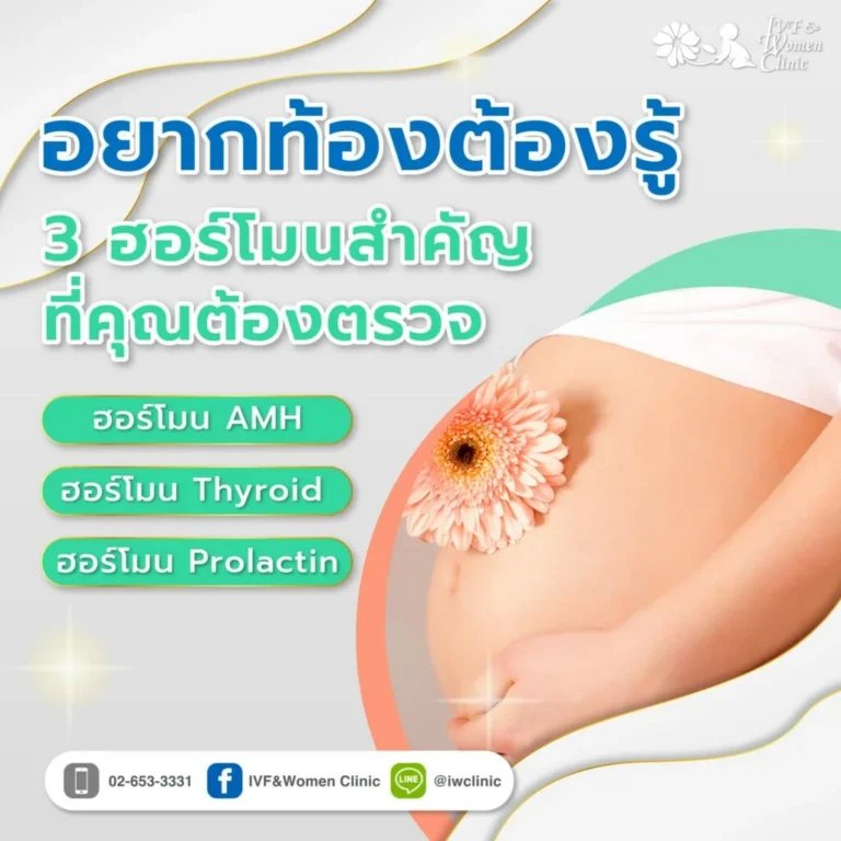 ฮอร์โมน-1024x1024_(1)