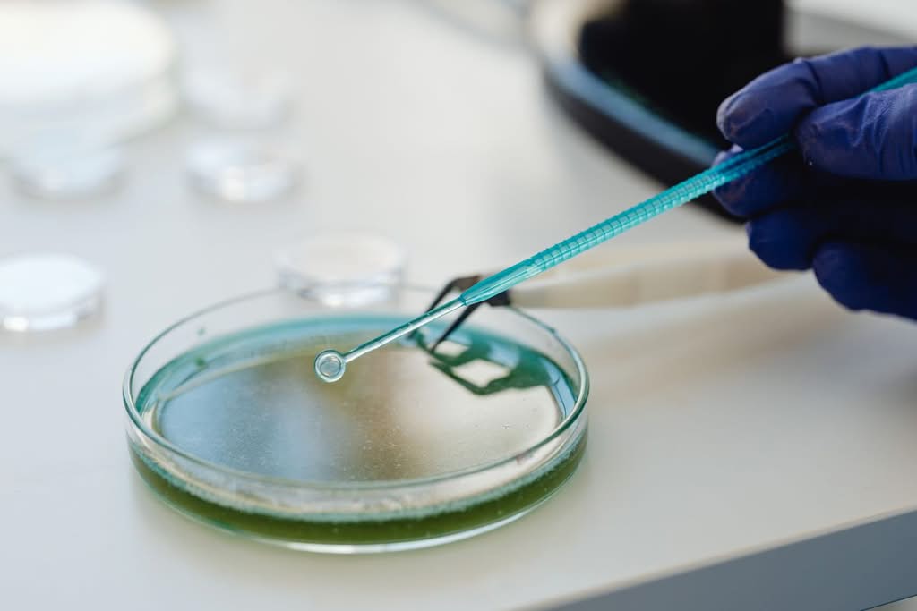 ivf process